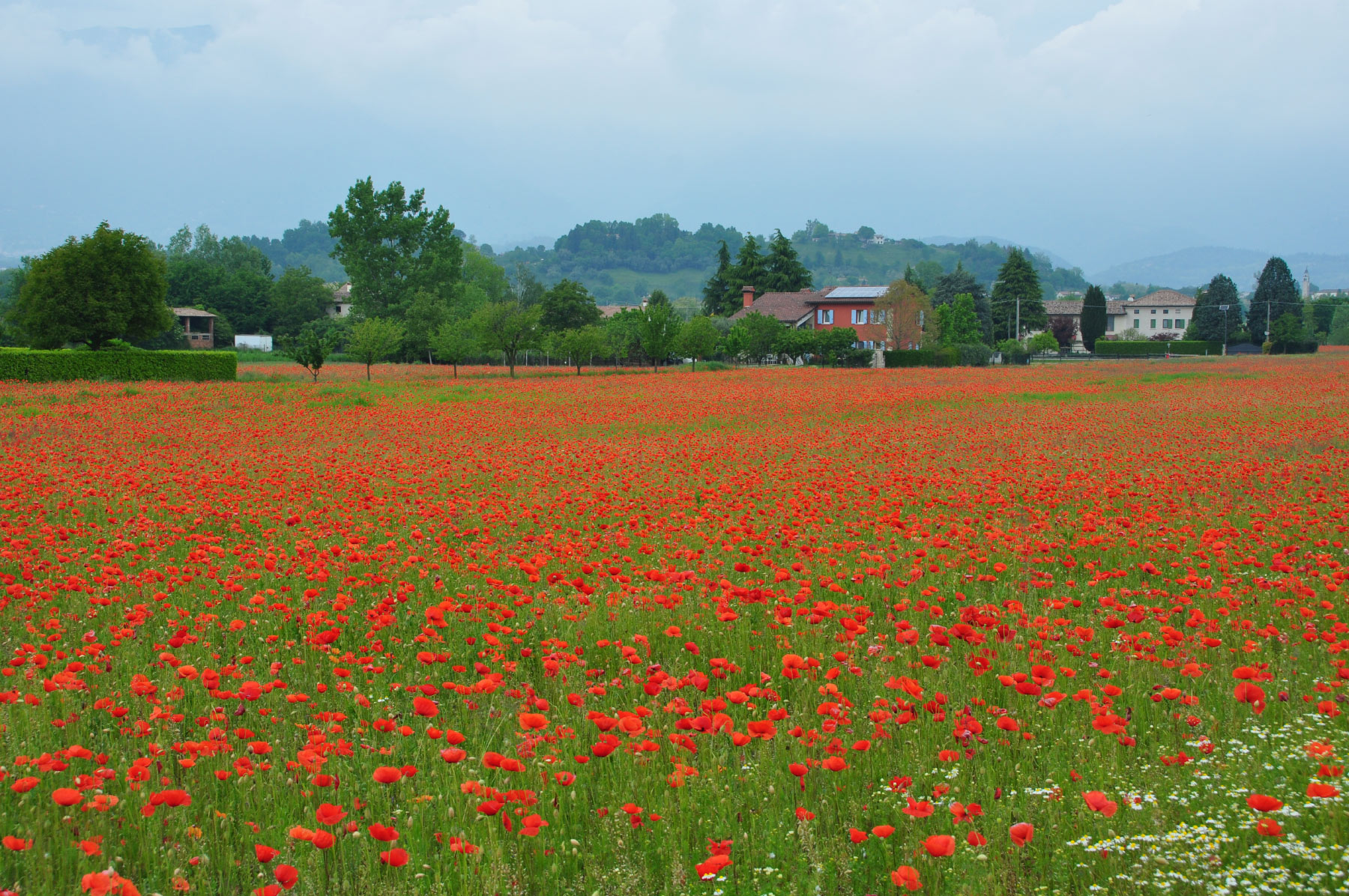 Asolo